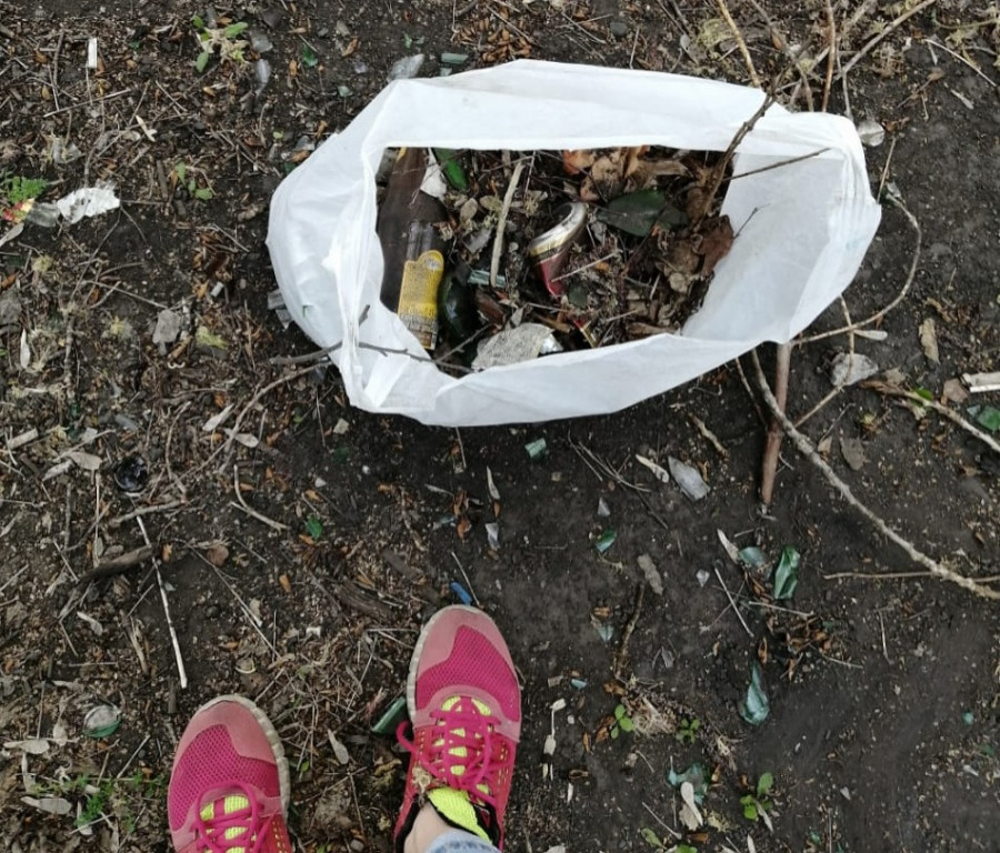 Во время прогулок собаководы убирают мусор в роще.