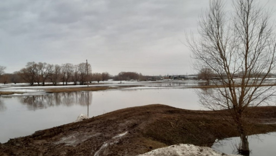 В Алтайском крае паводковыми водами затопило мост
