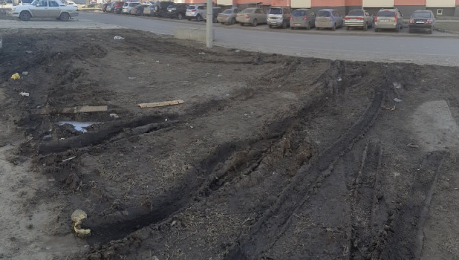 Барнаулец возмущен убитыми газонами из-за зимней парковки машин 