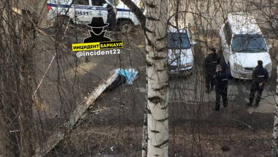 Барнаульским чиновникам «светит» уголовная статья за смертельное падение дерева на мужчину  