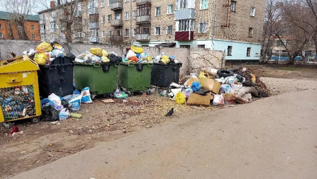 Рубцовск утопает в мусоре.