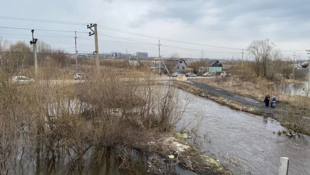 Мальчик пропал в реке. Новосибирская область.