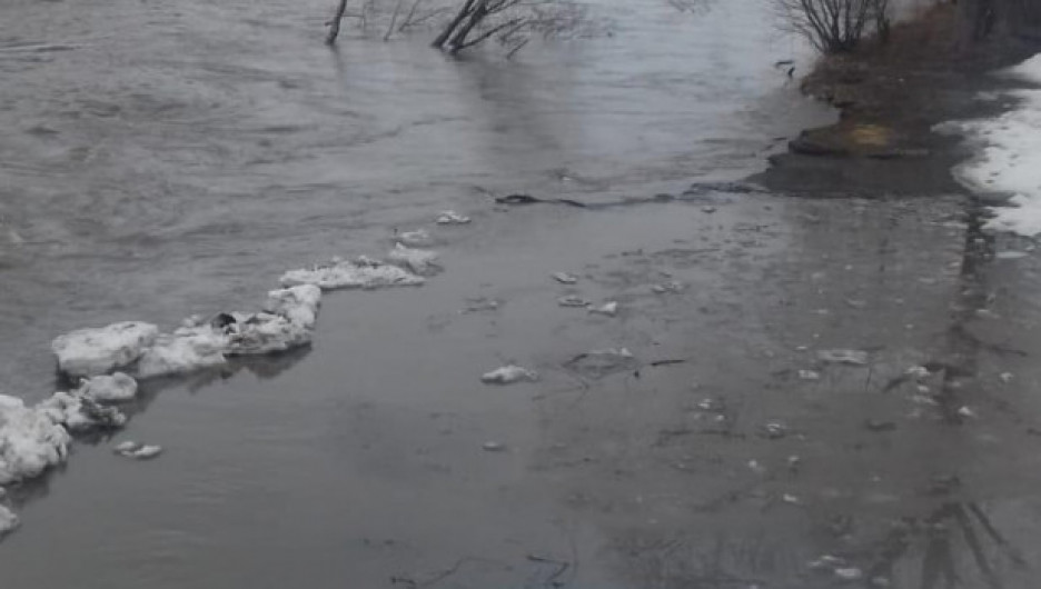 Река вышла из берегов в Алтайском крае и затопила трассу