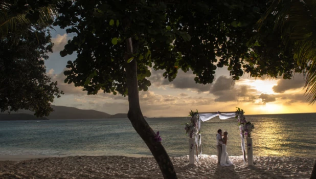 Necker Island. Британские Виргинские острова. Свадьба.