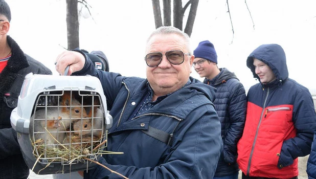 Белки в Нагорном парке.