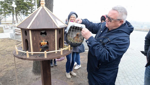 Белки в Нагорном парке.