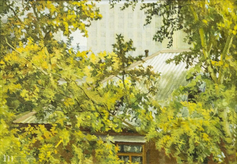 Выставка работ Владимира Шкиля в художественном музее