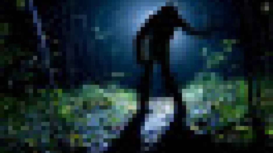 Человек с фонарем. Ночь. Лес.