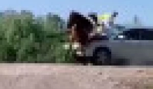 Скриншот фрагмента видео, на котором запечатлено ДТП с участием легковой машины и гужевой повозки.