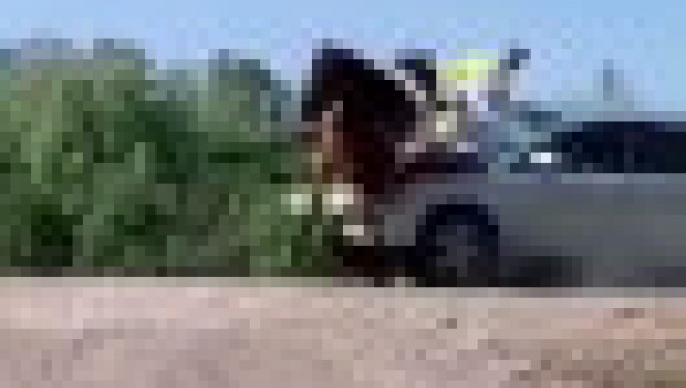 Скриншот фрагмента видео, на котором запечатлено ДТП с участием легковой машины и гужевой повозки.