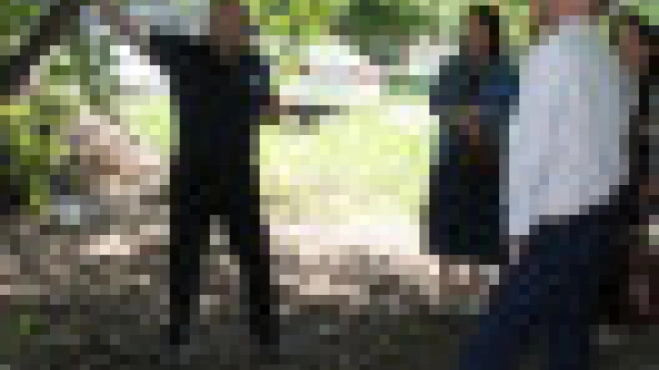 Зеленые насаждения в поселке Южном.