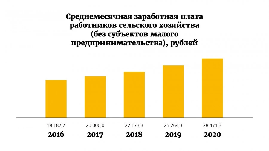 Каким был 2020 год для алтайского сельского хозяйства? 