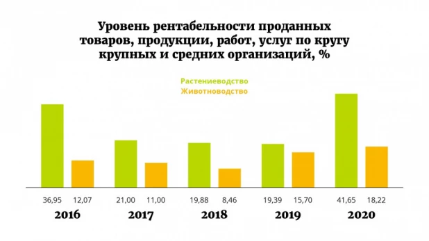 Каким был 2020 год для алтайского сельского хозяйства? 