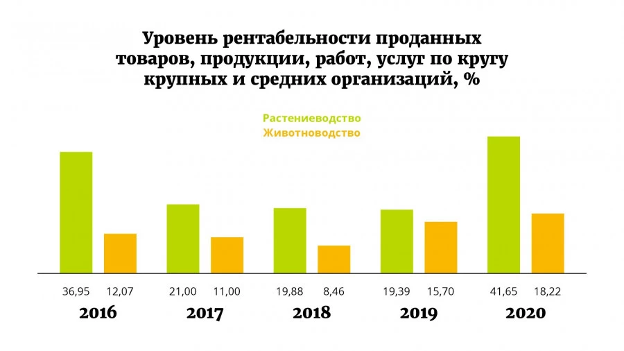 Каким был 2020 год для алтайского сельского хозяйства? 