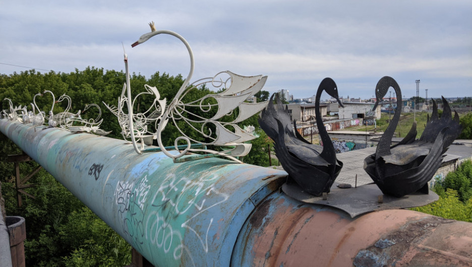 Легендарные лебеди пропали с коммунального моста на Новом рынке в Барнауле