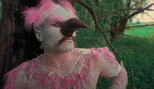 Кадр из клипа "Розовый фламинго"