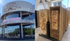 Большой дом дерева.