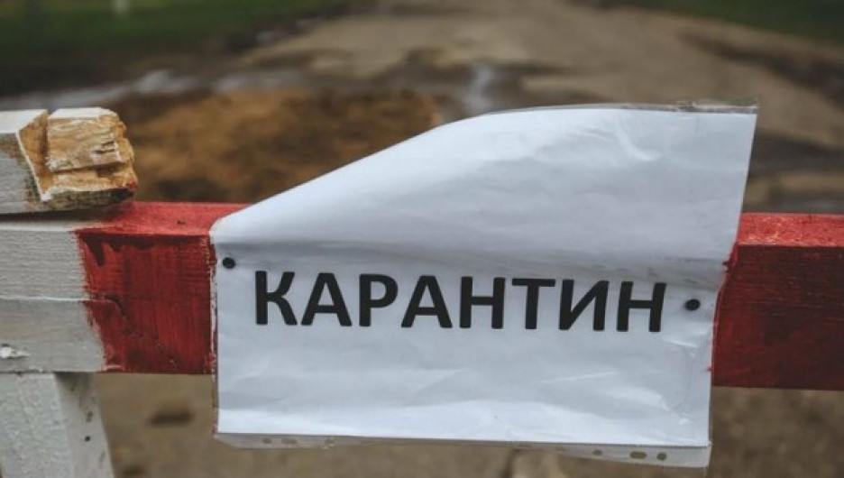 Карантин объявили еще в двух районах Алтайского края 