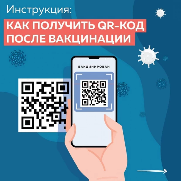 Как получить QR-код в Алтайском крае.