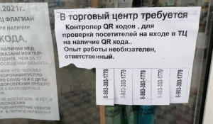 В ТЦ теперь пускают только по QR-кодам. 