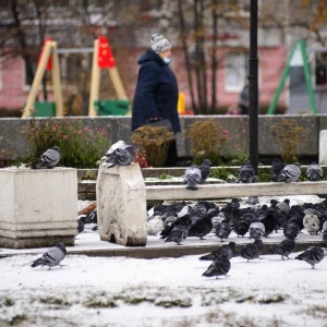 Снег и гололед в Барнауле.