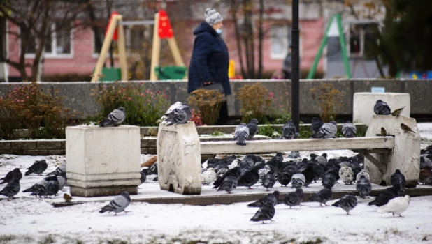 Снег и гололед в Барнауле.