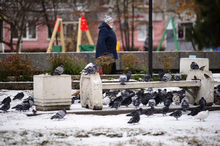 Снег и гололед в Барнауле.