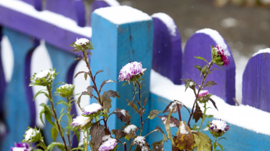 Снег и гололед в Барнауле.
