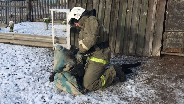 Спасатели помогли упавшему в погреб псу.