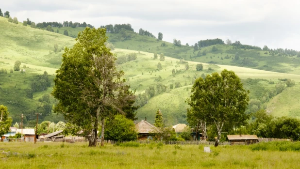 Село.