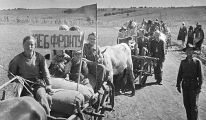 В годы Великой Отечественной войны