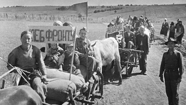 В годы Великой Отечественной войны