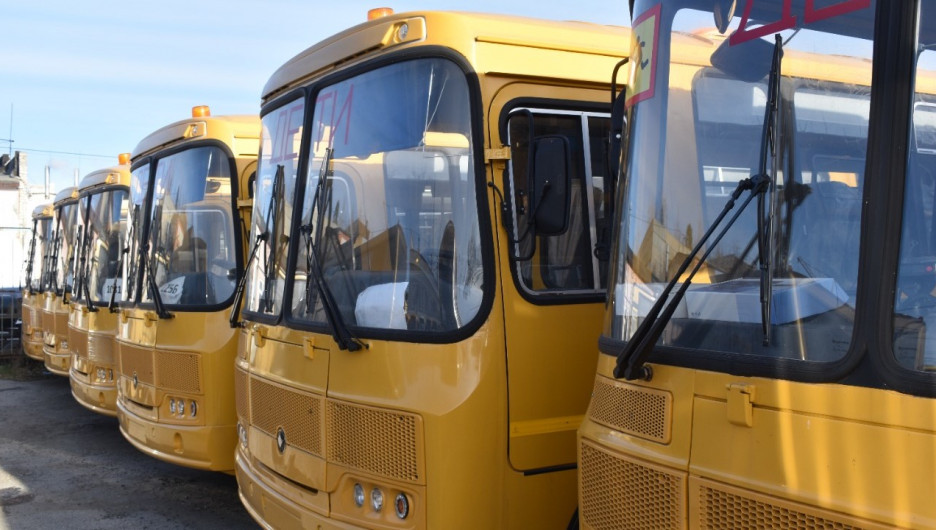 Более 50 новых школьных автобусов получили сельские районы Алтайского края 
