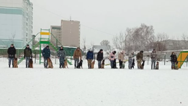 В парке "Изумрудный" Барнаула открылась первая в городе спроектированная площадка для выгула собак.