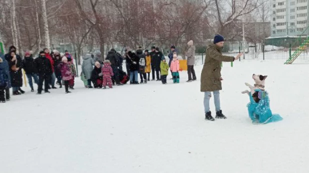 В парке "Изумрудный" Барнаула открылась первая в городе спроектированная площадка для выгула собак.