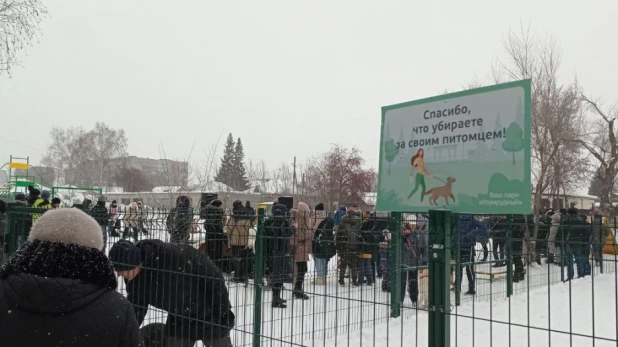 В парке "Изумрудный" Барнаула открылась первая в городе спроектированная площадка для выгула собак.