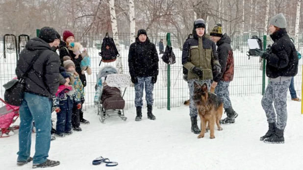 В парке "Изумрудный" Барнаула открылась первая в городе спроектированная площадка для выгула собак.