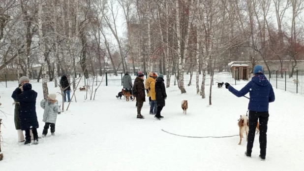 В парке "Изумрудный" Барнаула открылась первая в городе спроектированная площадка для выгула собак.