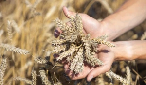 В крупном аграрном предприятии подвели итоги 2021 года.