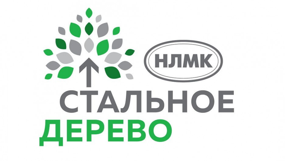 Стартовал прием заявок по программе «Стальное дерево» для жителей Заринска и края
