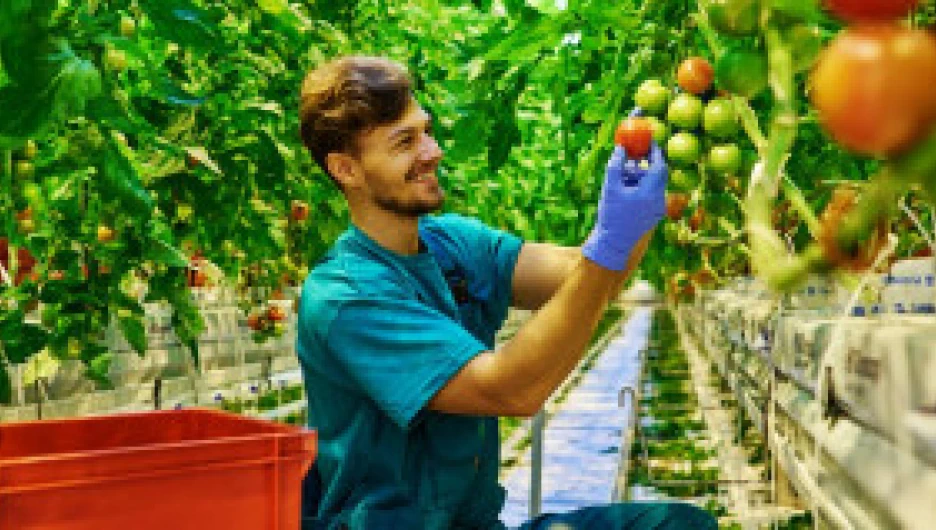 Фермерский бизнес будущего.