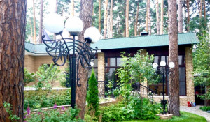 В Барнауле в поселке "Серебряный бор" продается особняк с собственным SPA-комплексом.