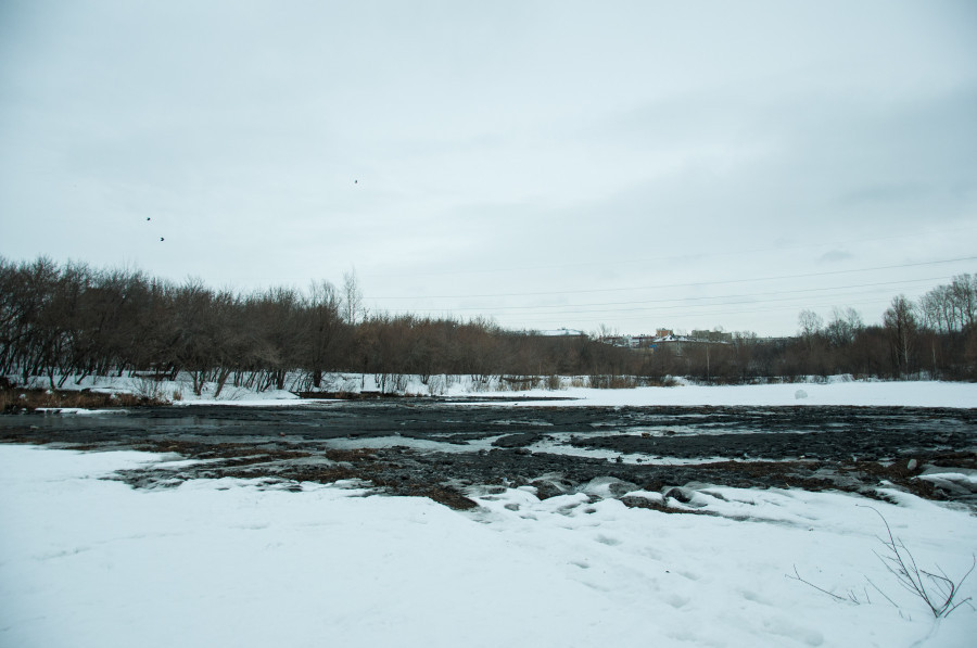 Окрестности безымянного озера в районе пересечения улиц Малахова и Гущина после розлива сточных вод.