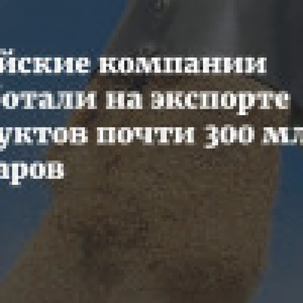 Алтайские компании заработали на экспорте продуктов почти 300 млн долларов
