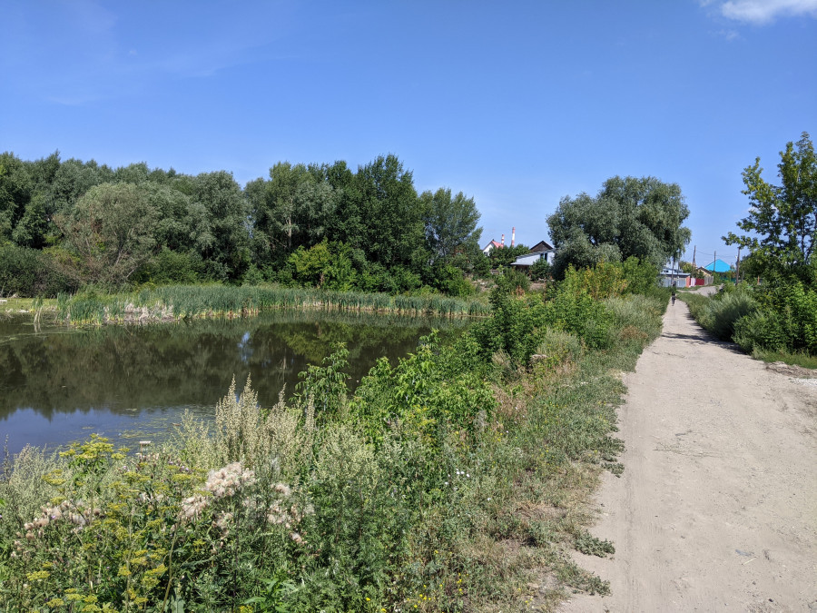 Безымянное озеро в районе улиц Малахова и Гущина. Июль 2021 года.