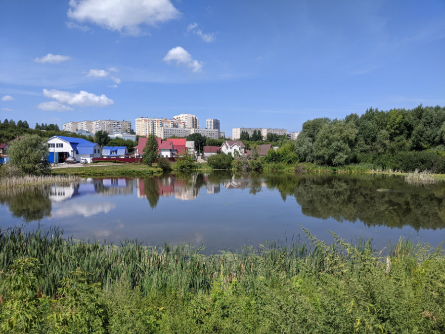 Безымянное озеро в районе улиц Малахова и Гущина. Июль 2021 года.