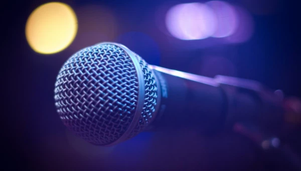 Концерт. Микрофон