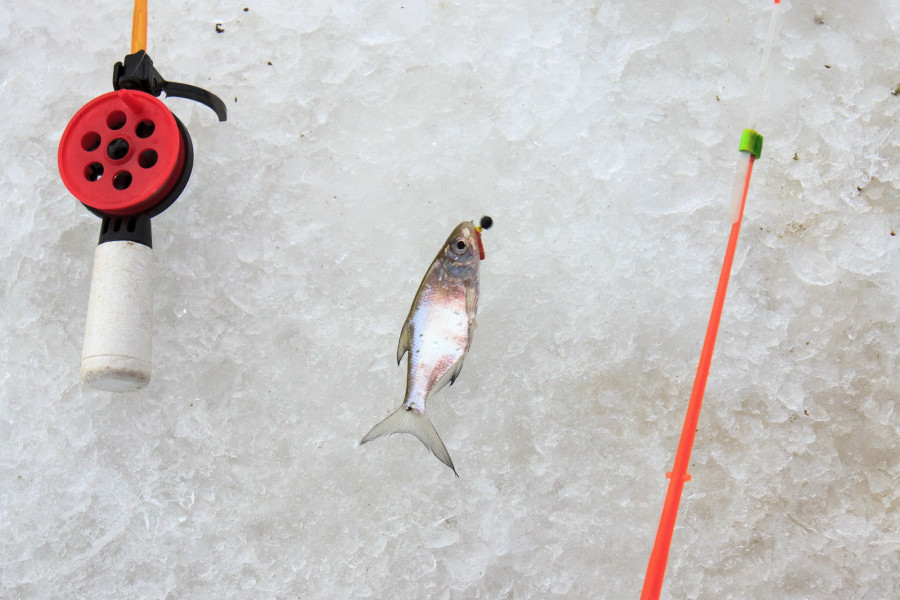 Зимняя рыбалка на Оби. Январь 2022 год.