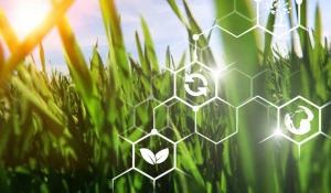 Цифровая экосистема Россельхозбанка для бизнеса: уже 1 млн пользователей.