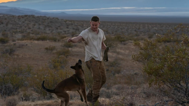 	Лулу и Бриггс